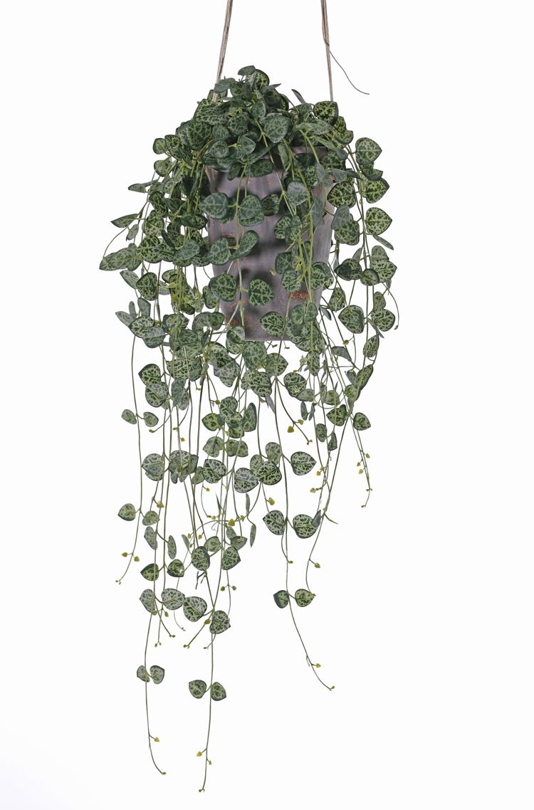 Driesprong collection Ceropegia chinees lantaarn plantje 70 cm kunstbloem zijde nepbloem - 
