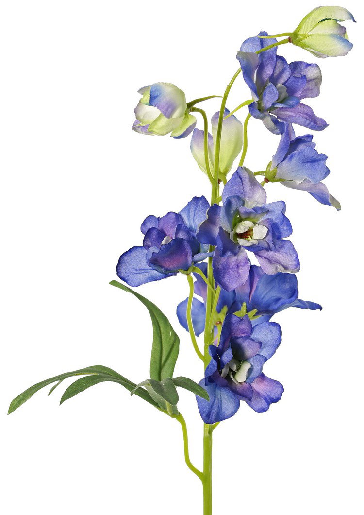 https://cdn.warentuin.nl/media/catalog/product/S/C/SCAN8714617081254_delphinium_ridderspoor_met_7_bloemen_dia_5_cm_3_knoppen_1_bla_9bf3.jpg