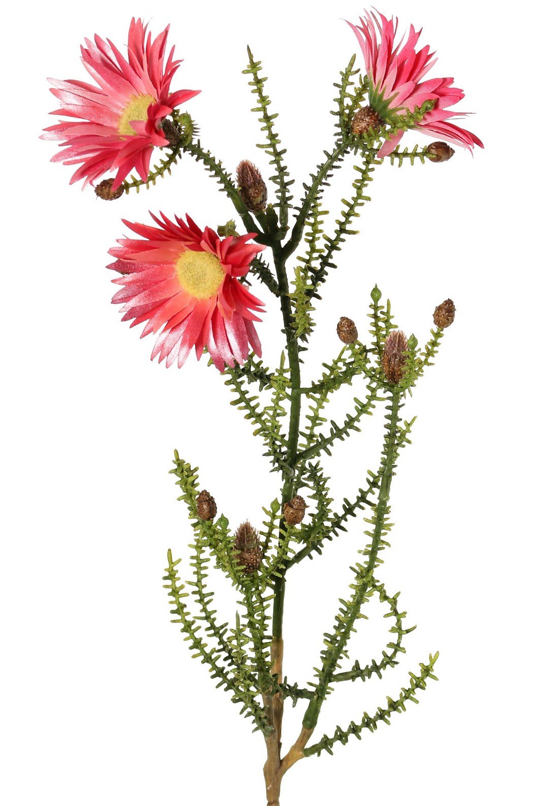 Kaaps groen bloemen knoppen, 60 cm d.roze kunstbloem zijde nepbloem - Driesprong Collection