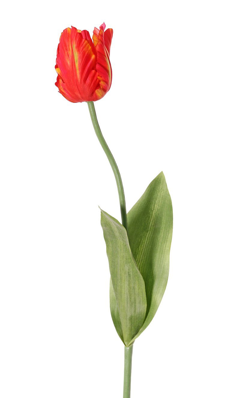 Top art Tulp Tulipa parrot Garden art 1 bloem dia. 6 x 8,5 cm met 2 bladeren feel real 21 x 7,5 cm 64 cm - 