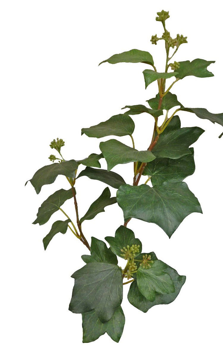 Hedera groen kunstbloem zijde nepbloem - Driesprong Collection