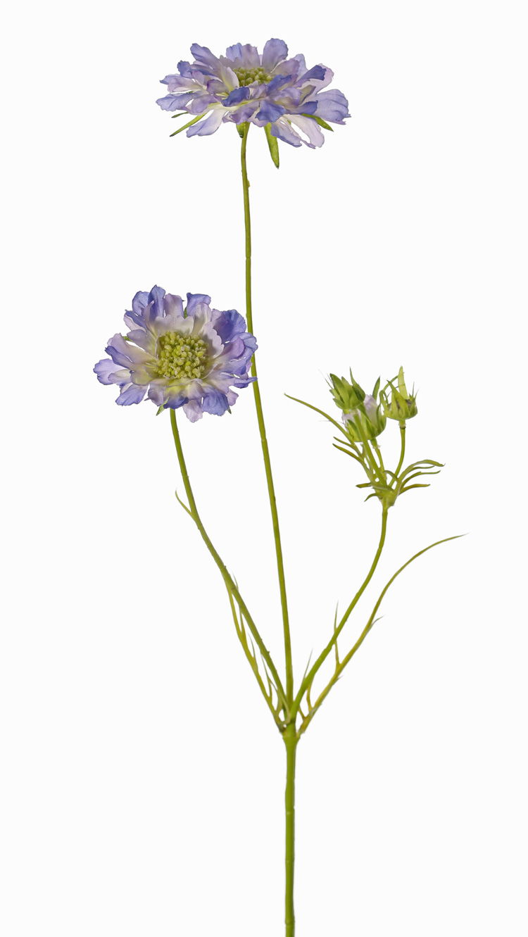 Scabiosa l.blauw kunstbloem zijde nepbloem - Driesprong Collection