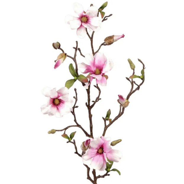 magnoliatak fijn 78cm 4fl. buds wit/roze Top Art - Top art