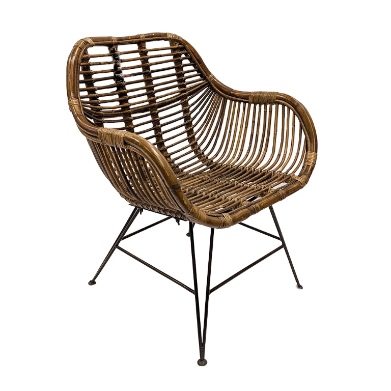 https://cdn.warentuin.nl/media/catalog/product/S/C/SCAN8714763257510_rattan_iron_legs_dining_tuinstoel_van_der_leeden_96f8.png