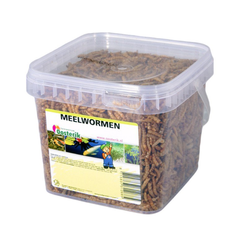 https://cdn.warentuin.nl/media/catalog/product/S/C/SCAN8715837312685_mehlwurmer_2_liter_futter_nerus_46a9.jpg