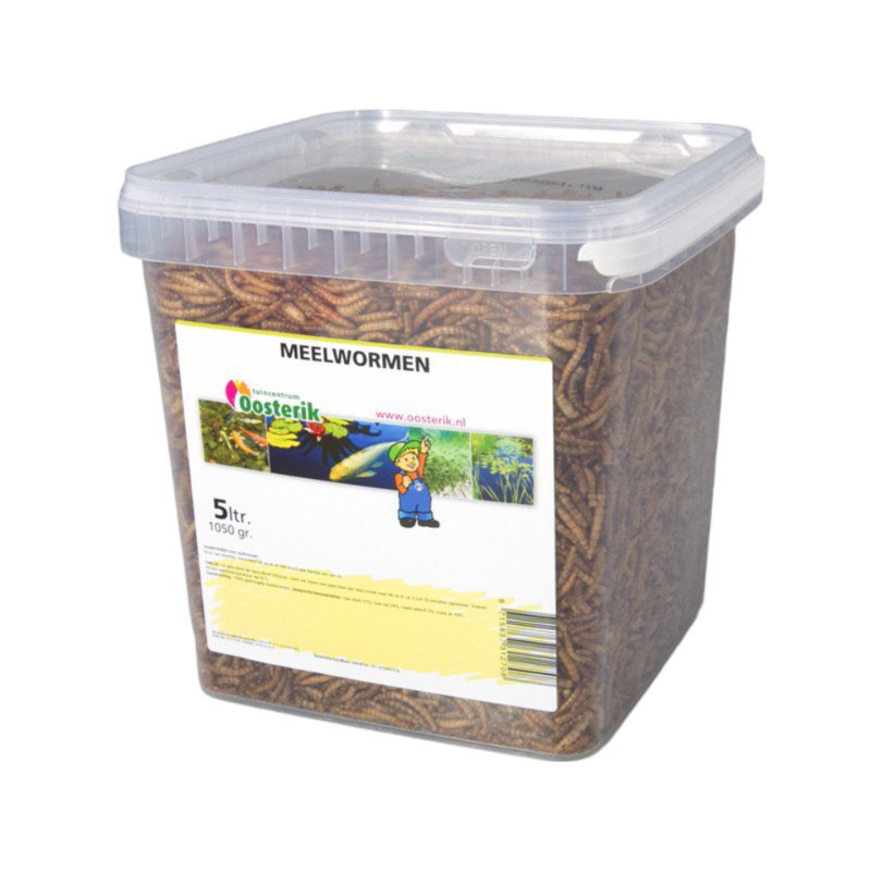 https://cdn.warentuin.nl/media/catalog/product/S/C/SCAN8715837312708_mehlwurmer_5_liter_futter_nerus_0006.jpg
