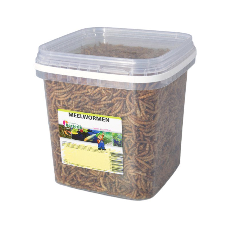 https://cdn.warentuin.nl/media/catalog/product/S/C/SCAN8715837323551_mehlwurmer_2_5_liter_futter_nerus_a932.jpg