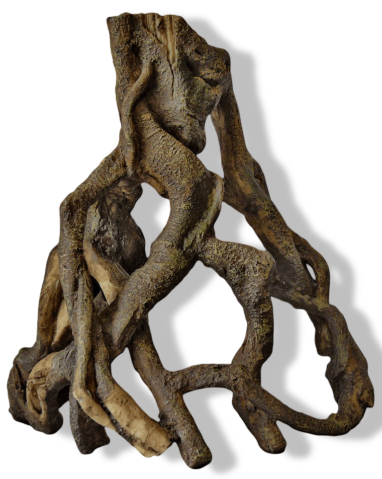 https://cdn.warentuin.nl/media/catalog/product/S/C/SCAN8715897222948_01_superfish_mangrove_wortel_l_aquaria_superfis_3bf5.png