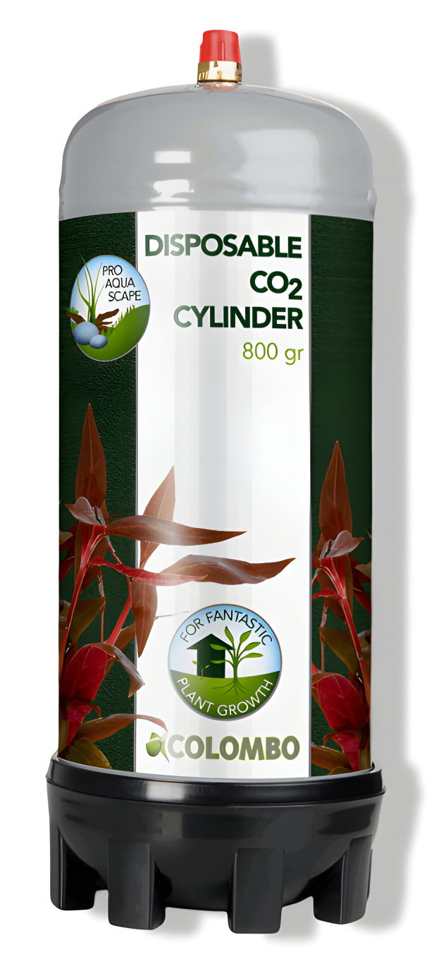 https://cdn.warentuin.nl/media/catalog/product/S/C/SCAN8715897244193_01_colombo_co2_cilinder_800_gram_vijver_colombo_8ed3.jpg