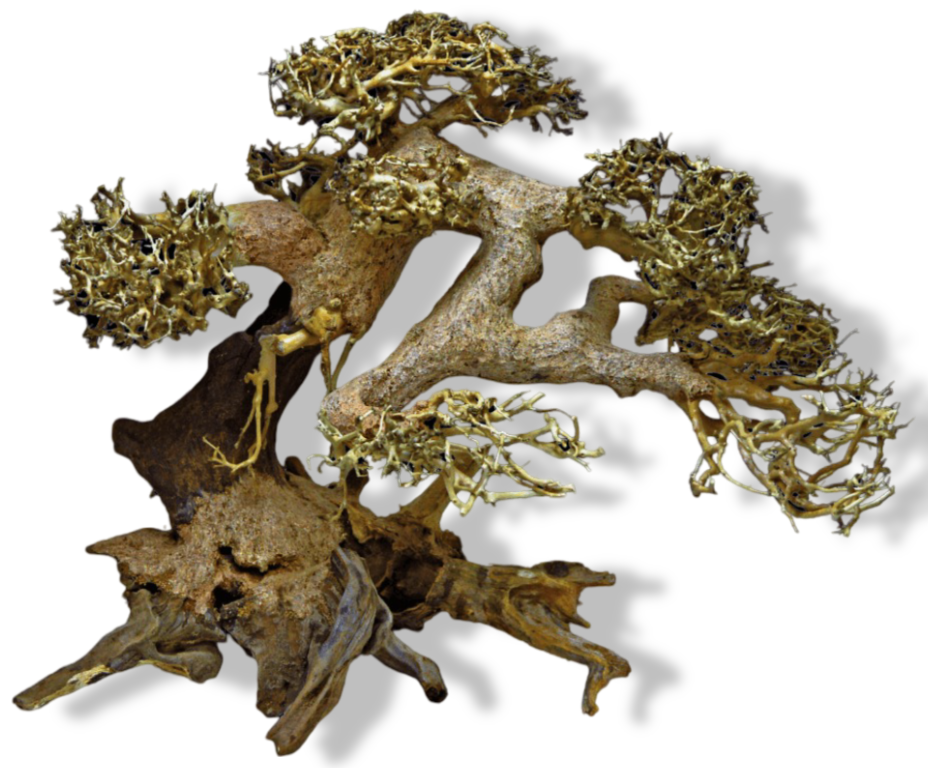 https://cdn.warentuin.nl/media/catalog/product/S/C/SCAN8715897269554_01_superfish_bonsai_driftwood_l_aquaria_superfi_cd69.png