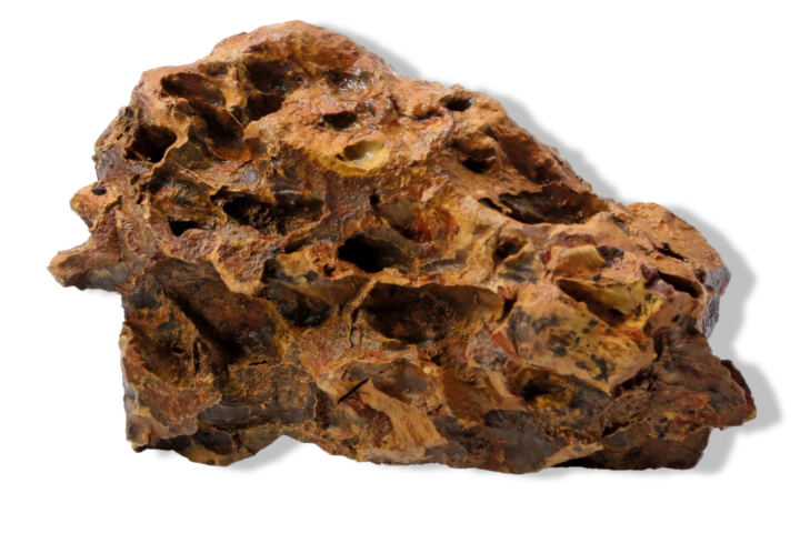https://cdn.warentuin.nl/media/catalog/product/S/C/SCAN8715897284076_01_superfish_aquarium_decoratie_aquascape_drago_b8f5.png