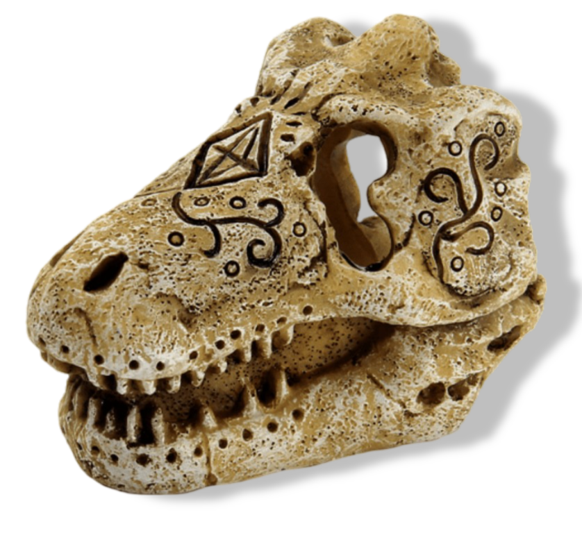 https://cdn.warentuin.nl/media/catalog/product/S/C/SCAN8715897291135_01_superfish_skull_t_rex_s_aquaria_superfish_fc8d.png