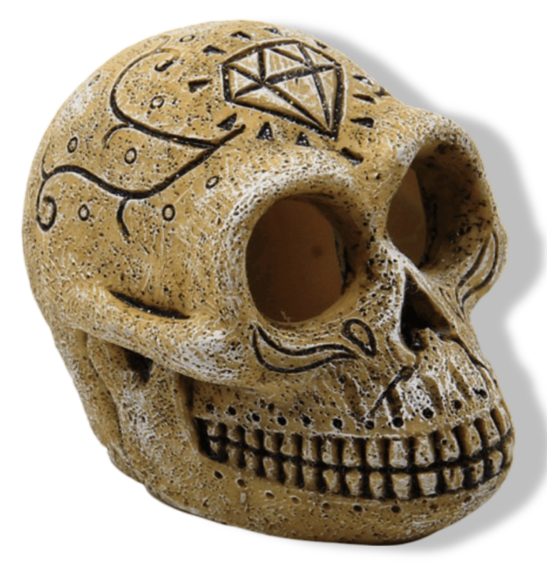 https://cdn.warentuin.nl/media/catalog/product/S/C/SCAN8715897291142_01_superfish_skull_monkey_aquaria_superfish_fade.png