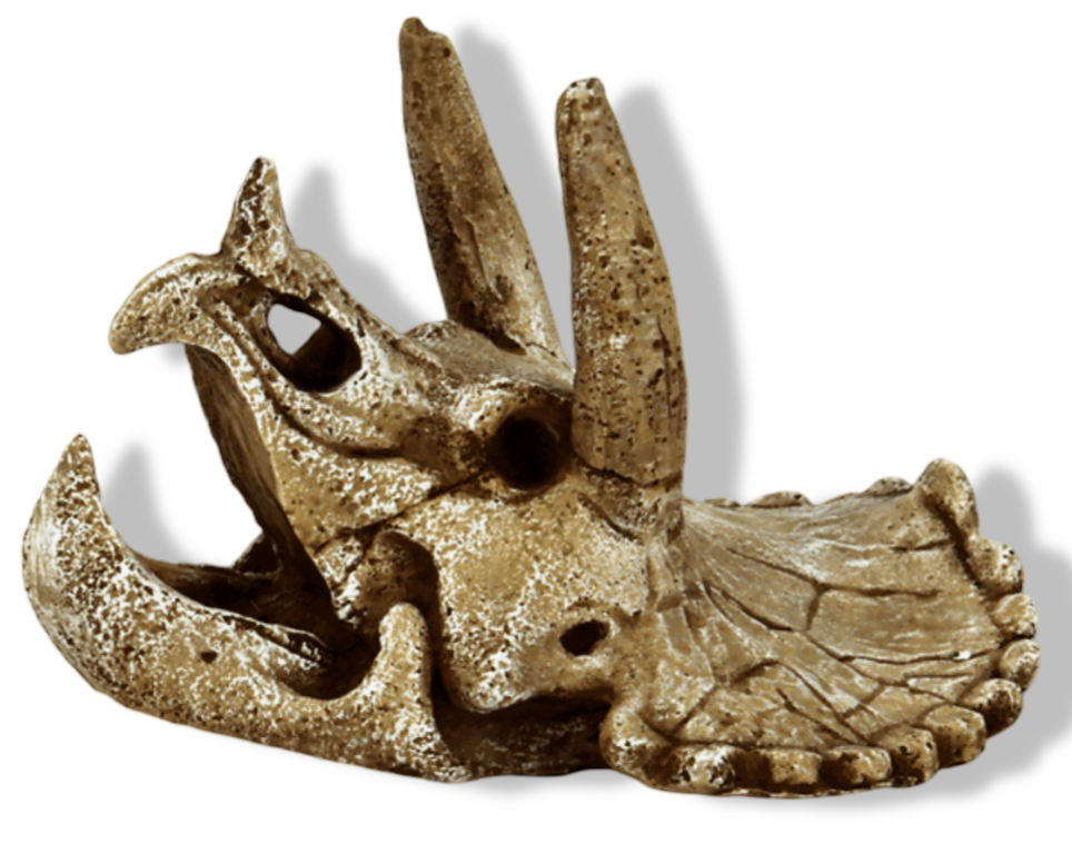 https://cdn.warentuin.nl/media/catalog/product/S/C/SCAN8715897291159_01_superfish_skull_triceratops_m_aquaria_superf_c231.png