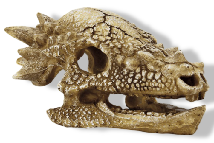 https://cdn.warentuin.nl/media/catalog/product/S/C/SCAN8715897291166_01_superfish_skull_t_rex_m_aquaria_superfish_76ef.png