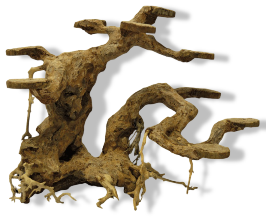https://cdn.warentuin.nl/media/catalog/product/S/C/SCAN8715897304262_01_superfish_bonsai_planter_medium_aquaria_supe_9343.png