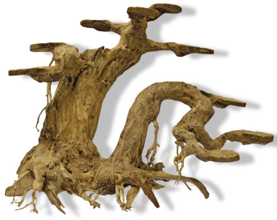https://cdn.warentuin.nl/media/catalog/product/S/C/SCAN8715897304279_01_superfish_bonsai_planter_large_aquaria_super_efc2.png