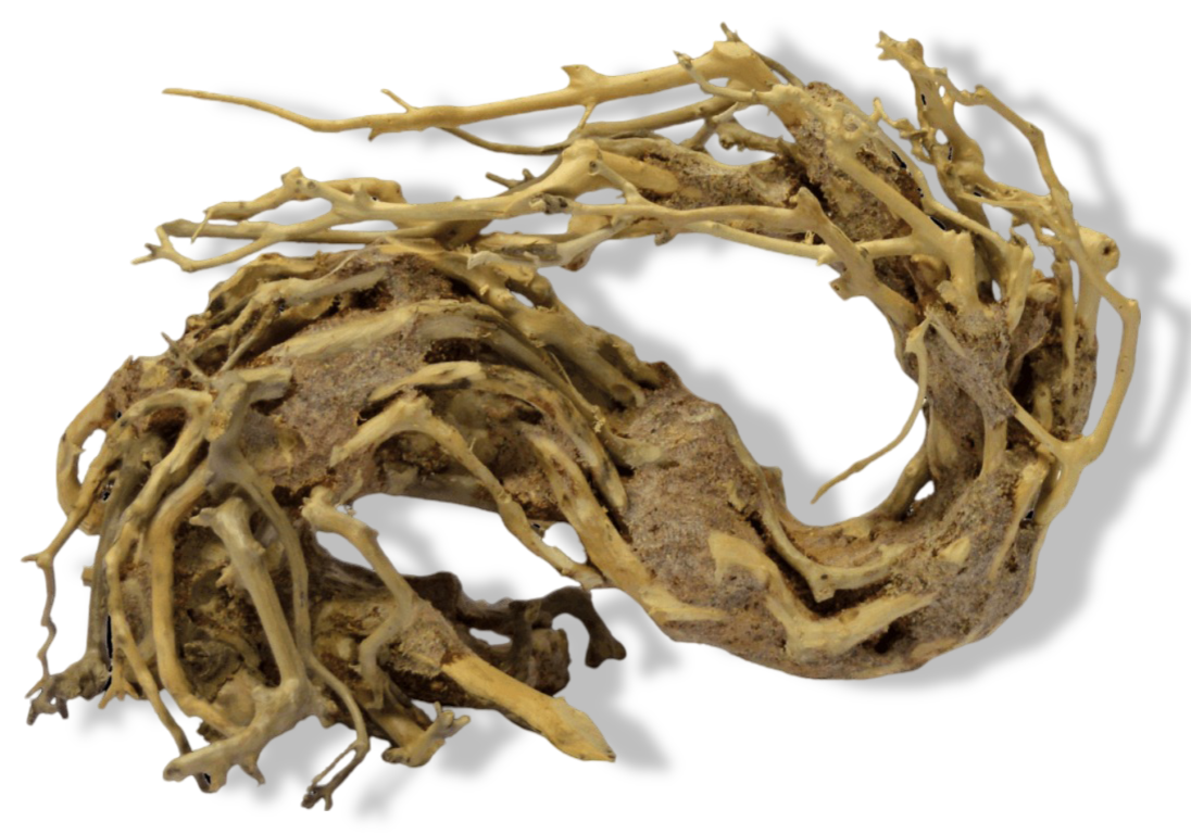 https://cdn.warentuin.nl/media/catalog/product/S/C/SCAN8715897304286_01_superfish_bonsai_wave_small_aquaria_superfis_317c.png