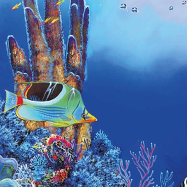 https://cdn.warentuin.nl/media/catalog/product/S/C/SCAN8715897311192_01_superfish_aquarium_accesoires_sf_deco_poster_f5_9872.jpg
