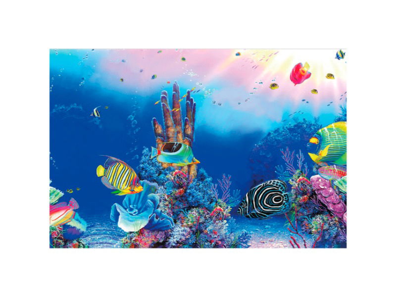Sf deco poster f6 150x61 cm - SuperFish