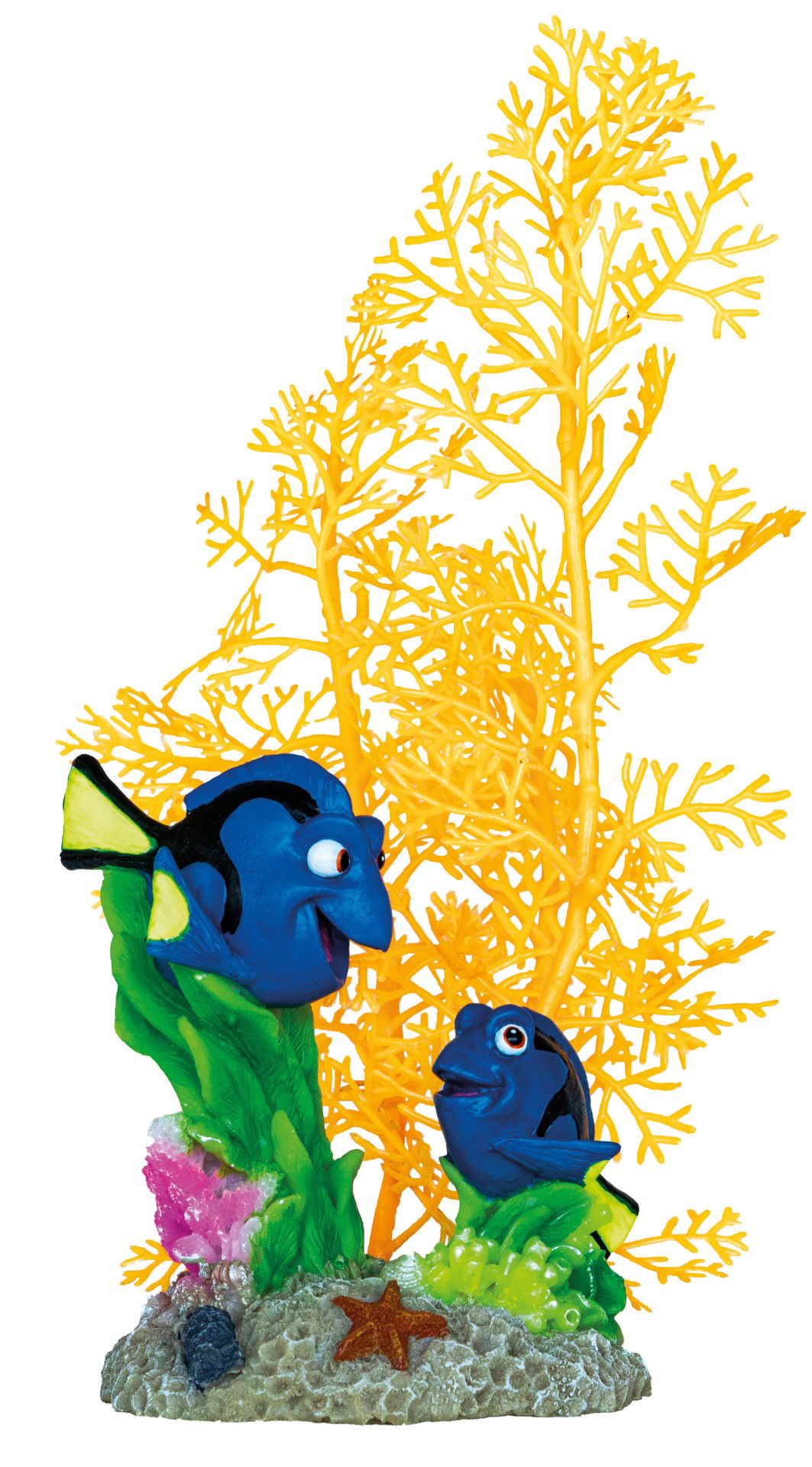 DECO GARDEN DORY - SuperFish