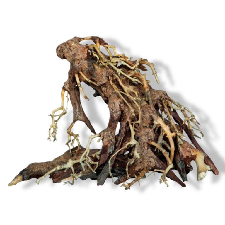 https://cdn.warentuin.nl/media/catalog/product/S/C/SCAN8715897313394_01_aquadistri_bonsai_root_small_aquadistri_51ef.png