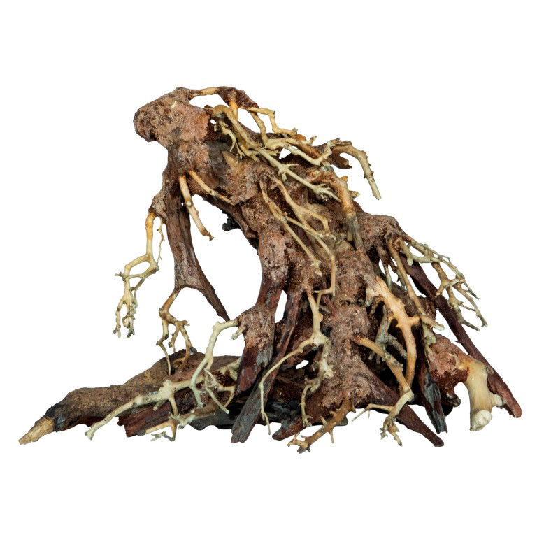 https://cdn.warentuin.nl/media/catalog/product/S/C/SCAN8715897313394_unbranded_aquarium_accesoires_bonsai_root_small_cd40.jpg