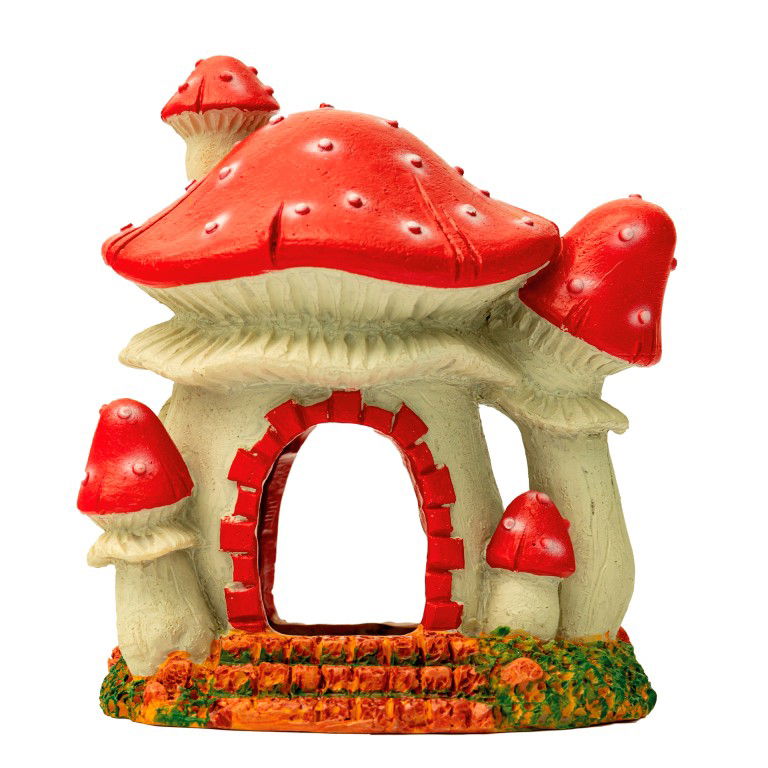 https://cdn.warentuin.nl/media/catalog/product/S/C/SCAN8715897319754_superfish_aquarium_accesoires_sf_mushroom_house_ac2f.jpg