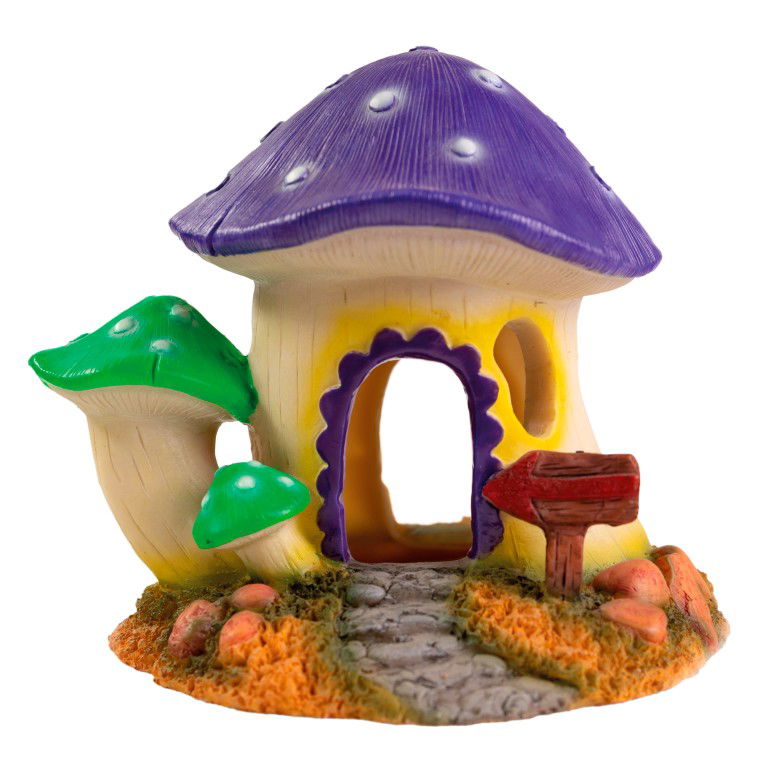 https://cdn.warentuin.nl/media/catalog/product/S/C/SCAN8715897319761_superfish_aquarium_accesoires_sf_mushroom_house_515a.jpg