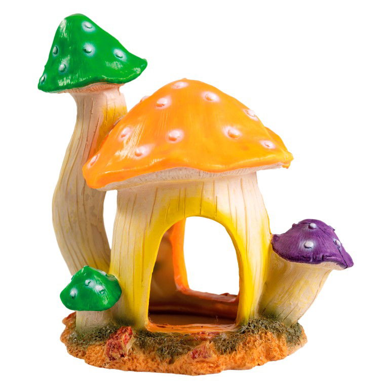 https://cdn.warentuin.nl/media/catalog/product/S/C/SCAN8715897319778_superfish_aquarium_accesoires_sf_mushroom_house_dca3.jpg