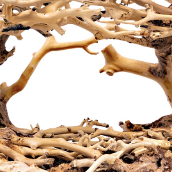 https://cdn.warentuin.nl/media/catalog/product/S/C/SCAN8715897319822_01_unbranded_aquarium_accesoires_bonsai_rock_mediu_c954.jpg