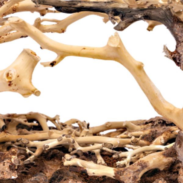 https://cdn.warentuin.nl/media/catalog/product/S/C/SCAN8715897319839_01_unbranded_aquarium_accesoires_bonsai_rock_large_beda.jpg