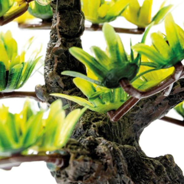 https://cdn.warentuin.nl/media/catalog/product/S/C/SCAN8715897319846_01_superfish_aquarium_accesoires_sf_deco_bonsai_xs_23a2.jpg