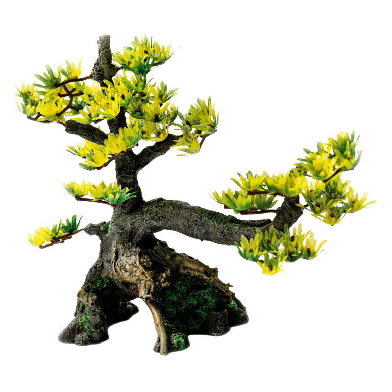 Sf deco bonsai m - SuperFish
