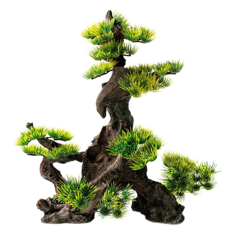 https://cdn.warentuin.nl/media/catalog/product/S/C/SCAN8715897319884_superfish_aquarium_accesoires_sf_deco_bonsai_xl_af23.jpg