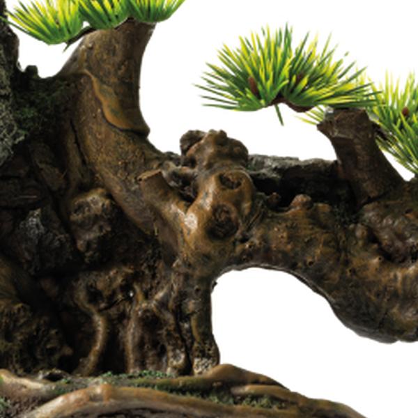 https://cdn.warentuin.nl/media/catalog/product/S/C/SCAN8715897319891_01_superfish_aquarium_accesoires_sf_deco_bonsai_fa_c344.jpg