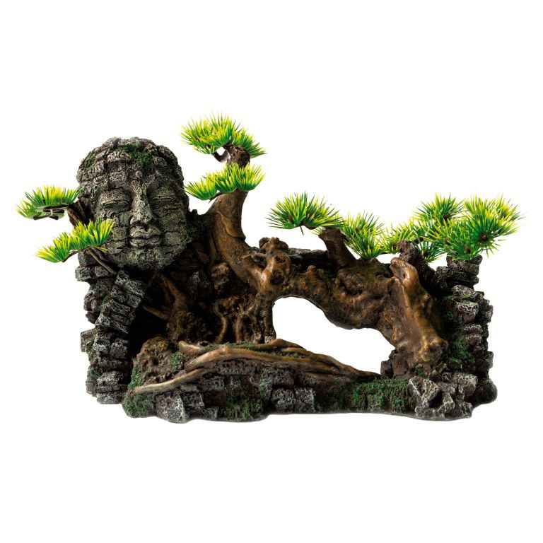 Sf deco bonsai face xxl - SuperFish