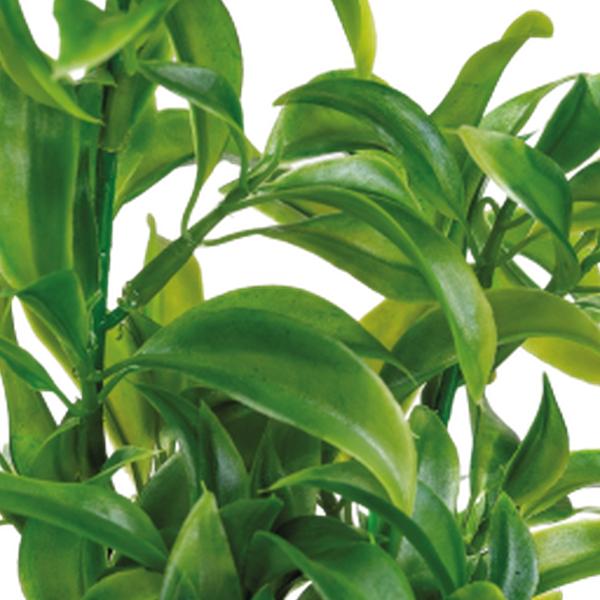 https://cdn.warentuin.nl/media/catalog/product/S/C/SCAN8715897319921_01_superfish_aquarium_accesoires_sf_art_plant_25_c_a37b.jpg