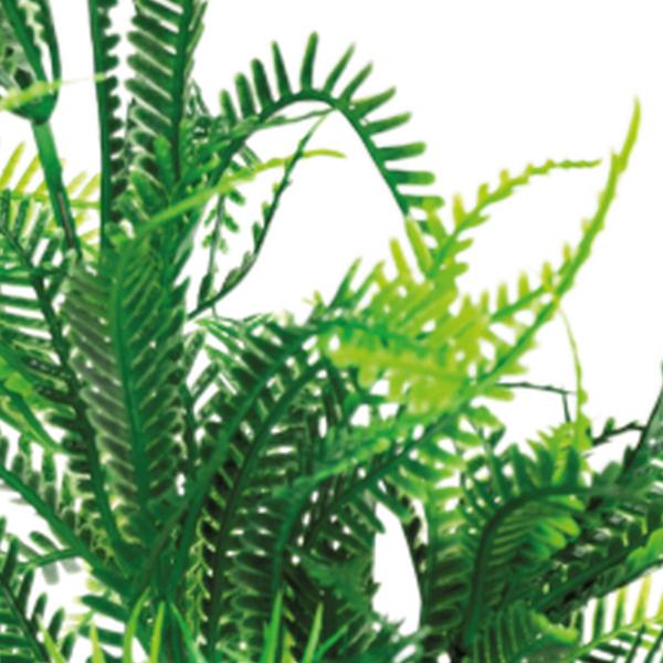 https://cdn.warentuin.nl/media/catalog/product/S/C/SCAN8715897319976_01_superfish_aquarium_accesoires_sf_art_plant_25_c_c4a4.jpg