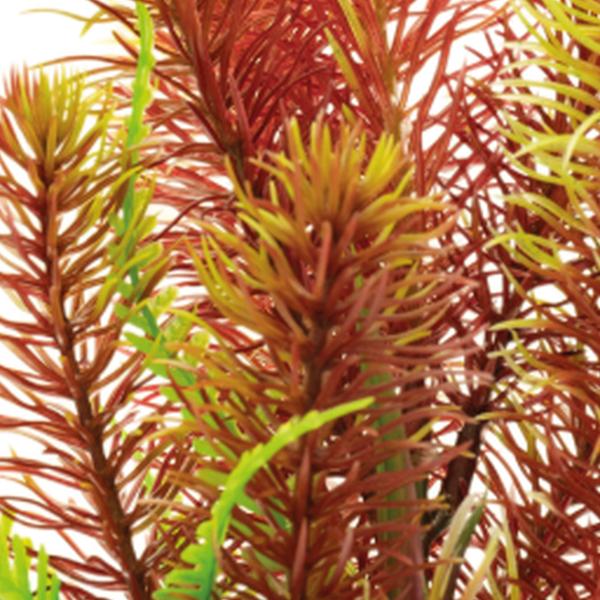 https://cdn.warentuin.nl/media/catalog/product/S/C/SCAN8715897319983_01_superfish_aquarium_accesoires_sf_art_plant_25_c_4b81.jpg