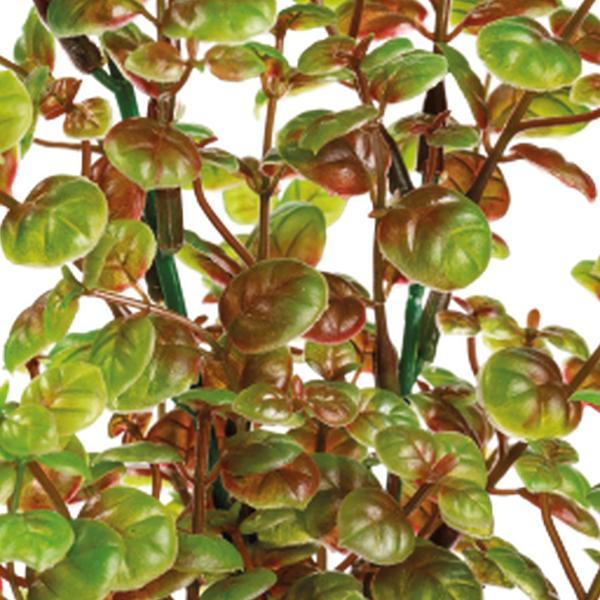 https://cdn.warentuin.nl/media/catalog/product/S/C/SCAN8715897320019_01_superfish_aquarium_accesoires_sf_art_plant_25_c_9284.jpg