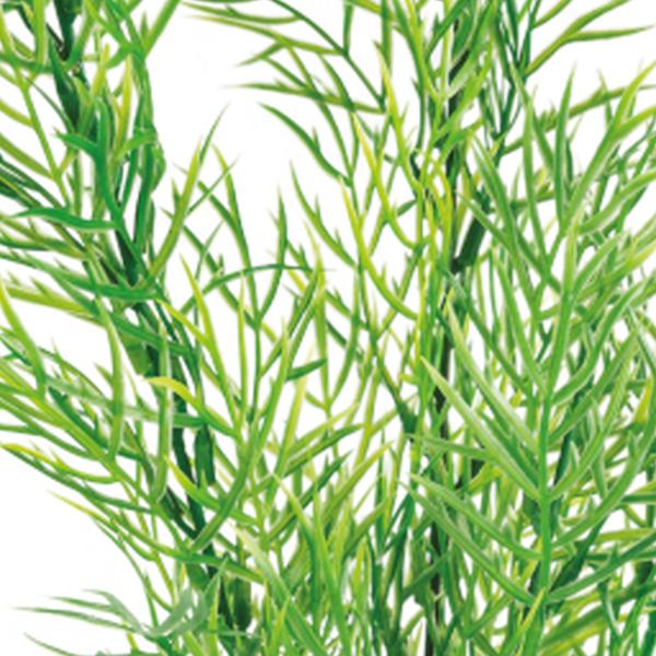 https://cdn.warentuin.nl/media/catalog/product/S/C/SCAN8715897320033_01_superfish_aquarium_accesoires_sf_art_plant_40_c_4b0d.jpg