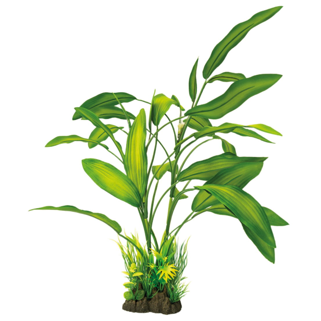 https://cdn.warentuin.nl/media/catalog/product/S/C/SCAN8715897320040_superfish_decoratie_art_plant_40_cm_cryptocoryne_superfish_dace.jpg