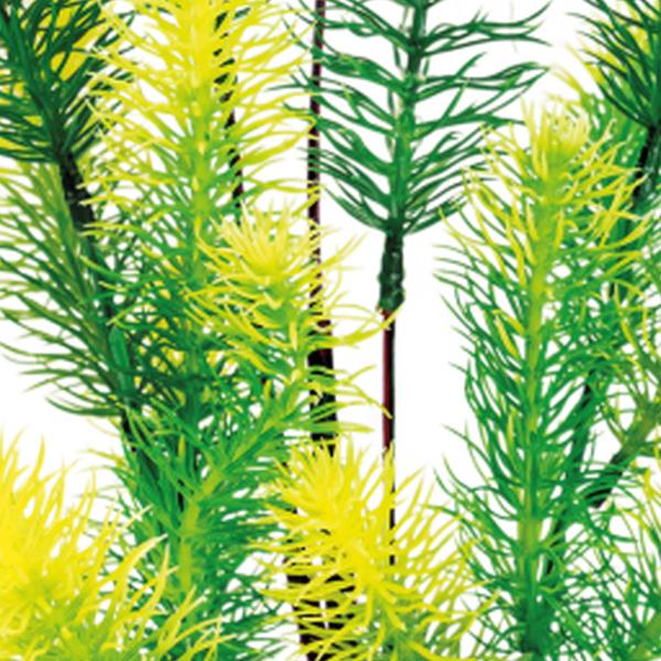 https://cdn.warentuin.nl/media/catalog/product/S/C/SCAN8715897320101_01_superfish_aquarium_accesoires_sf_art_plant_40_c_7f80.jpg