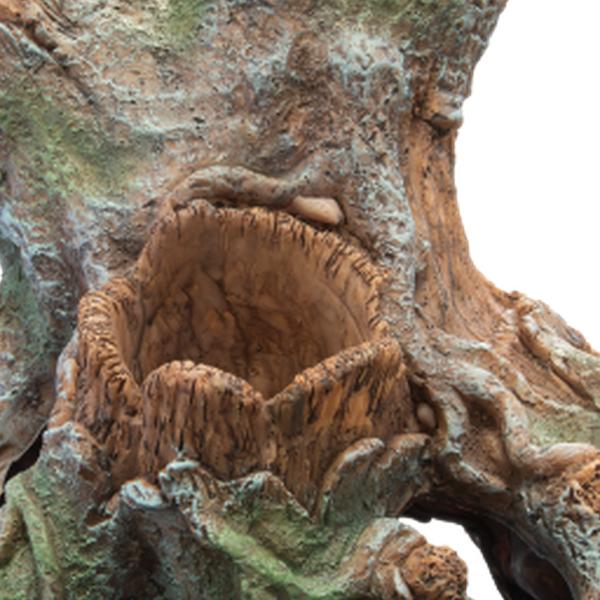 https://cdn.warentuin.nl/media/catalog/product/S/C/SCAN8715897336355_01_superfish_aquarium_accesoires_sf_scapers_wood_p_856a.jpg