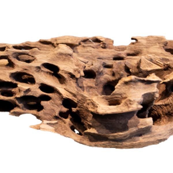 https://cdn.warentuin.nl/media/catalog/product/S/C/SCAN8715897336829_01_unbranded_aquarium_accesoires_honeycomb_wood_x__e4a9.jpg