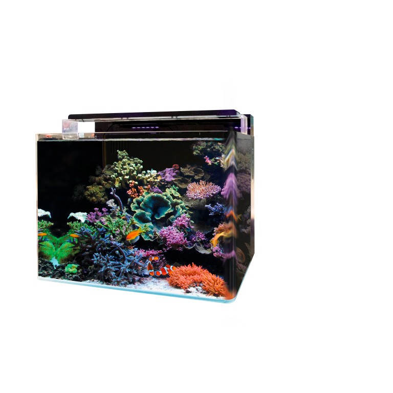 https://cdn.warentuin.nl/media/catalog/product/S/C/SCAN8715897337000_blue_marine_aquarium_accesoires_bm_reef_120_aqu_0b0c.jpg