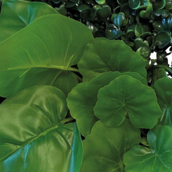 https://cdn.warentuin.nl/media/catalog/product/S/C/SCAN8715897339578_01_repto_aquarium_accesoires_repto_plant_achterwan_a727.jpg