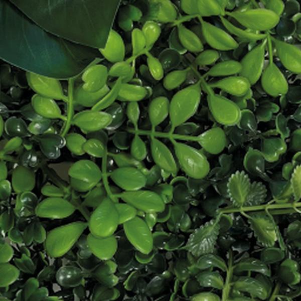 https://cdn.warentuin.nl/media/catalog/product/S/C/SCAN8715897339585_01_repto_aquarium_accesoires_repto_plant_achterwan_32ec.jpg
