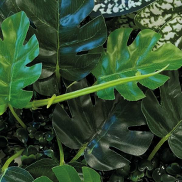 https://cdn.warentuin.nl/media/catalog/product/S/C/SCAN8715897339592_01_repto_aquarium_accesoires_repto_plant_achterwan_0a49.jpg